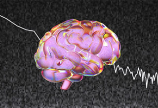 AI đã có thể tái hiện chính xác đến hơn 80% hình ảnh trong não người