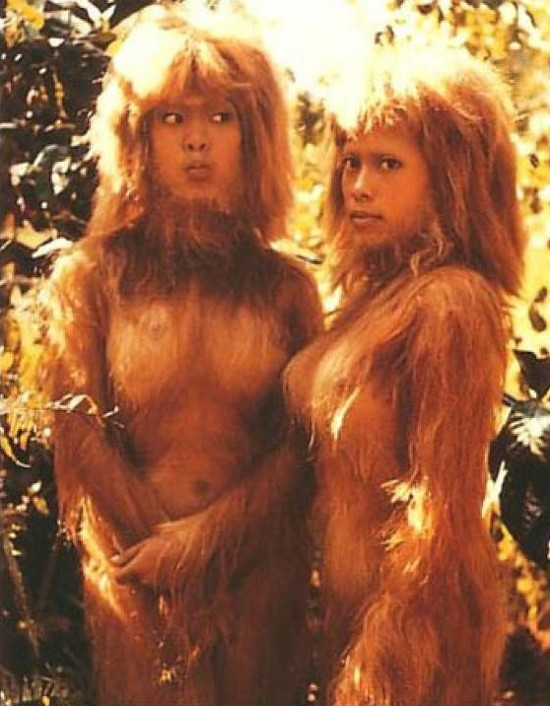 Nhiều người tin rằng người Agogve là dấu tích sót còn lại của chủng tộc Australopithecus.