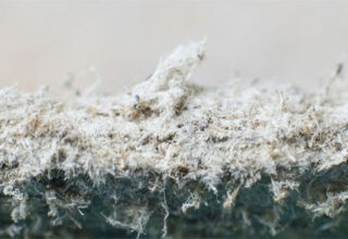 Bi kịch của amiăng: Chất gây ung thư cấp độ một, vẫn có thể được nhìn thấy ở trong ngôi nhà của bạn