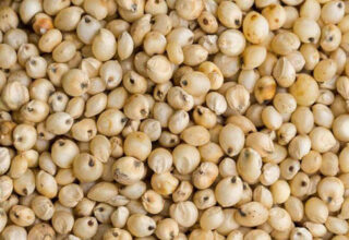 Sự thật cực thú vị về huyền thoại bo bo thời bao cấp