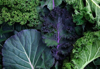 Chuyên gia sốc vì phát hiện hóa chất cực độc trong cải xoăn