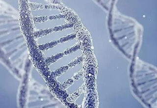 Sự thật đáng sợ về cận huyết: Lời nguyền của gene, tuyến phòng thủ cuối cùng của tự nhiên!