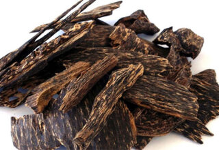 12 loại gỗ quý hiếm và đắt nhất trên thế giới