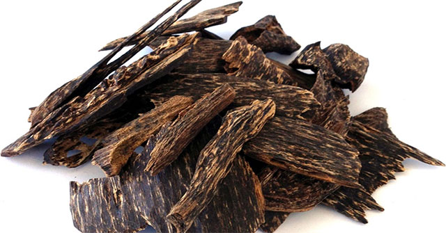 12 loại gỗ quý hiếm và đắt nhất trên thế giới