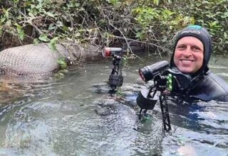 Rùng mình phút đối mặt với trăn khổng lồ dài hơn 7m