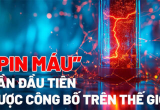 "Pin máu" lần đầu tiên được công bố trên thế giới