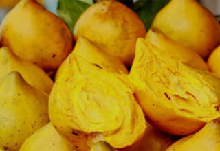 Tác dụng tuyệt vời của quả trứng gà đối với sức khỏe