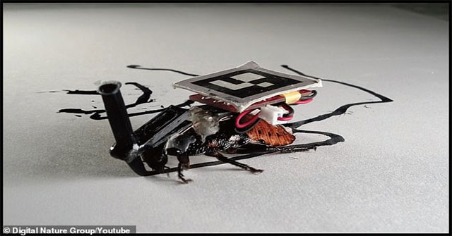 Các nhà khoa học Nhật cấy ghép máy móc vào gián, bắt chúng phải phục vụ con người