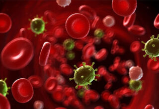 Phát hiện đáng kinh ngạc của Mỹ: Tế bào ung thư sợ nhất là tình yêu