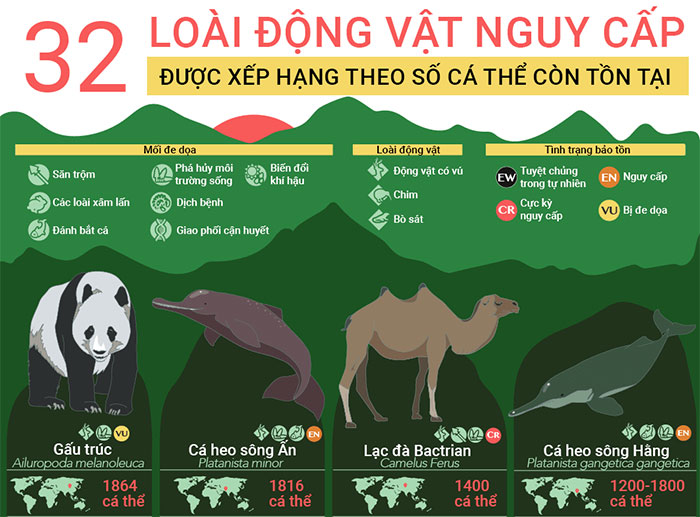 dong-vat-sap-tuyet-chung 32 loài động vật sắp tuyệt chủng, 9 trong số đó chỉ còn dưới 100 cá thể