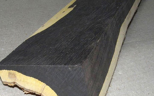 Gỗ đen châu Phi