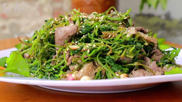 Rau má chứa khá nhiều dưỡng chất thực vật (phytonutrients) quý hiếm.
