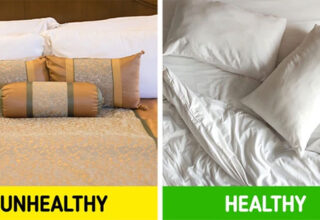 Top 8 sự thật ngẫu nhiên về vạn vật xung quanh chúng ta, tưởng quen thuộc lắm nhưng 90% chẳng hề hay biết