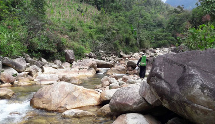 suoi-sang-ma-pho Dòng suối Sàng Mà Pho, nơi loài cá đắng sinh sống.