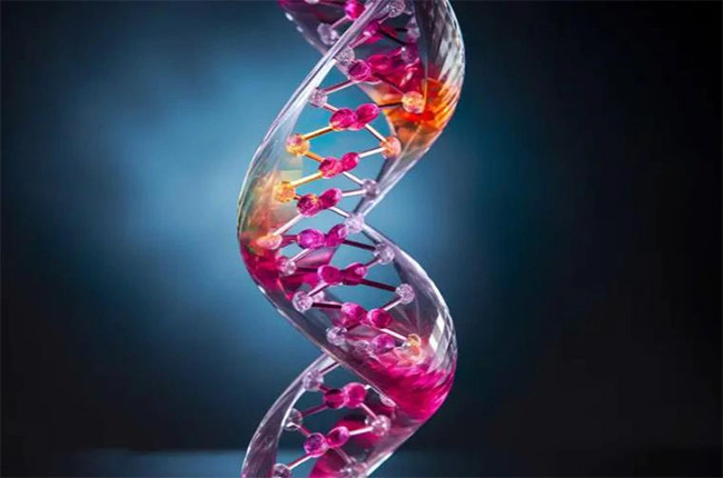 vat-lieu-adn-thuy-tinh-1 Mô hình "khung xương" của vật liệu mới làm bằng DNA và thủy tinh
