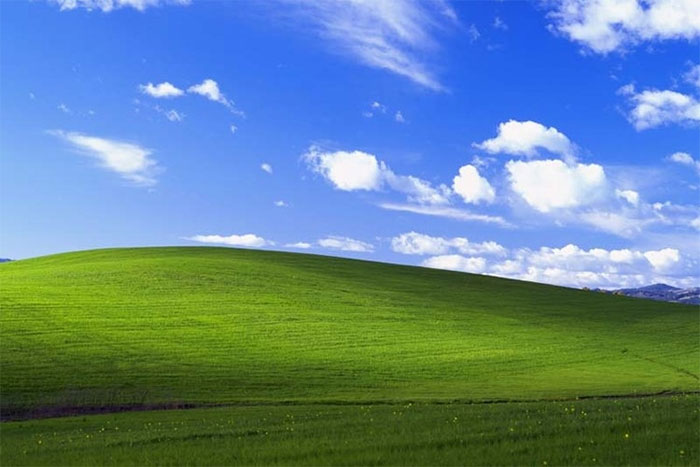 Đến nay nhiều phần cứng chuyên dụng vẫn yêu cầu sử dụng Windows XP