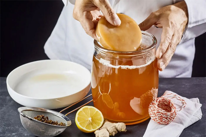 Làm trà kombucha