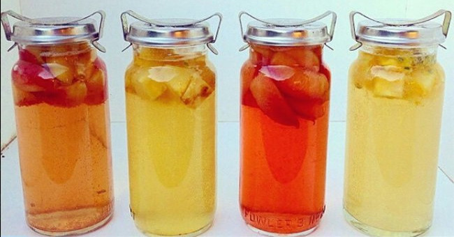 Những điều cần biết về “trà Kombucha” – Trà lên men