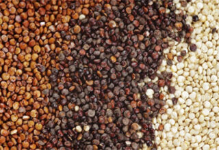 Hạt Quinoa là gì? Lợi ích vàng của hạt quinoa đối với sức khỏe