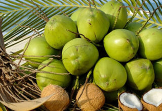 16 lý do để uống nước dừa