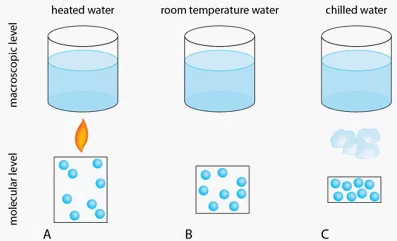 5 siêu năng lực "quái dị" của cơ thể mà bạn chưa bao giờ nhận ra