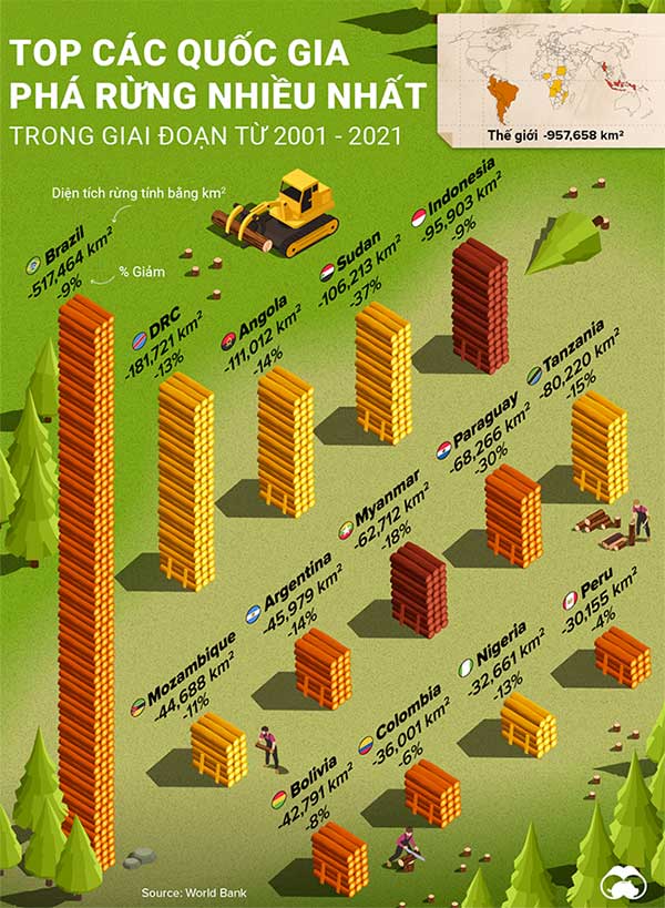 Những quốc gia phá rừng nhiều nhất
