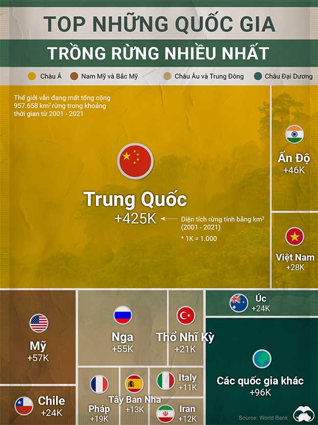 Những quốc gia trồng rừng nhiều nhất