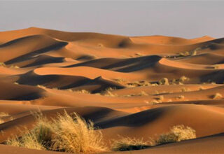 Dùng radar đo độ sâu sa mạc Sahara, các nhà khoa học phát hiện ra "thứ" khổng lồ bên dưới