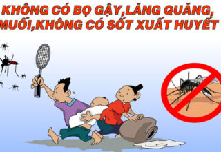 Sốt xuất huyết: Nguyên nhân, triệu chứng và cách phòng bệnh
