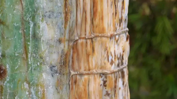 Tùy theo các khoáng thể được thay thế sợi gỗ mà định hình nên các loại gỗ hóa ngọc